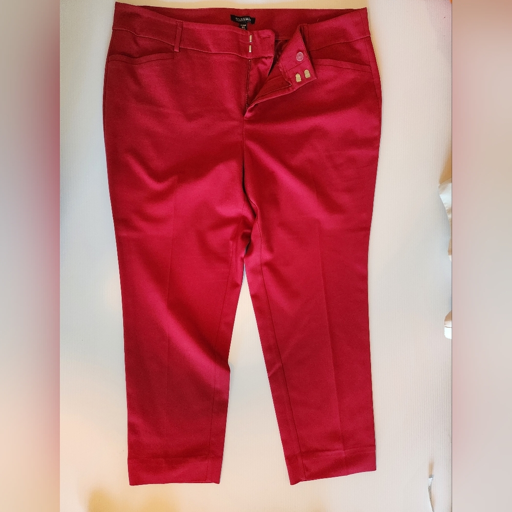 Roz & Ali Red Dress Pants - Tailored Straight Leg - Picture 2 of 7